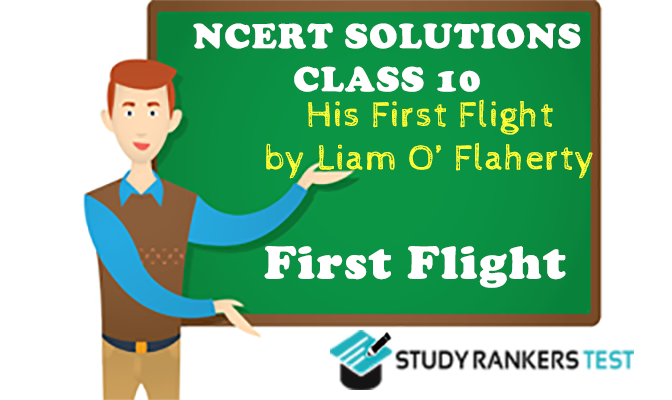 His First Flight by G.L. Fuentes NCERT Solutions for Class 10 First Flight